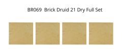 Druid 21 - Full Brick Set-BR069