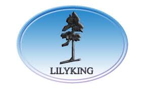 Lilyking Spare Parts